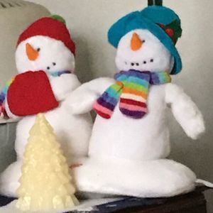 Meet your Posher, Anne